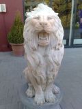 Aslan